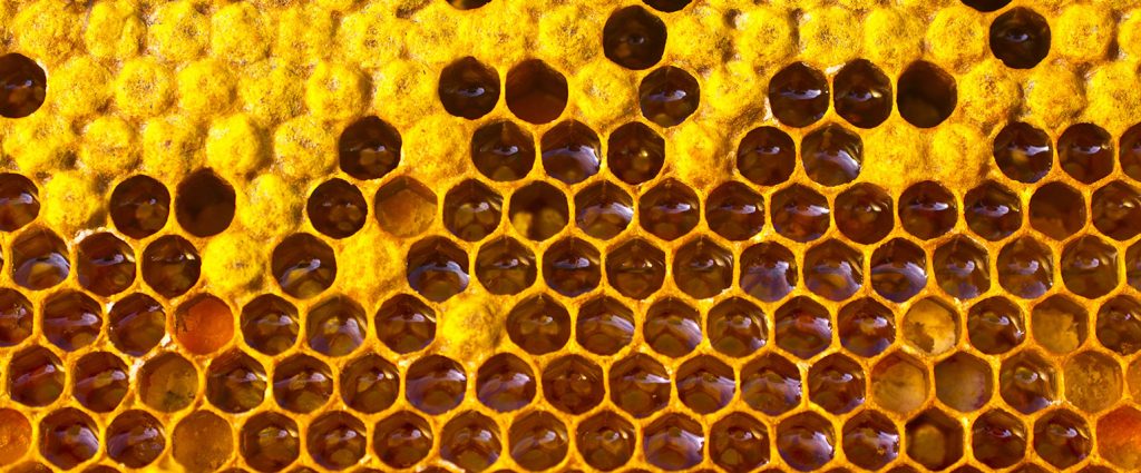 Built By Bees