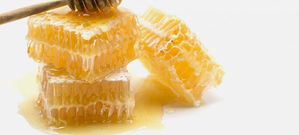 Built By Bees