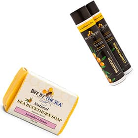 Built By Bees