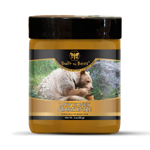 Midwestern Purple Star Thistle Raw Honey from Northern Michigan