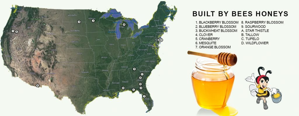 Built By Bees
